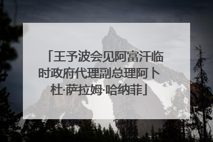 王予波会见阿富汗临时政府代理副总理阿卜杜·萨拉姆·哈纳菲