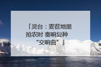 灵台：麦茬地里抢农时 奏响复种“交响曲”