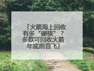 火箭海上回收有多“硬核”？多款可回收火箭年底前首飞