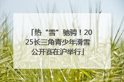 热“雪”驰骋！2025长三角青少年滑雪公开赛在沪举行