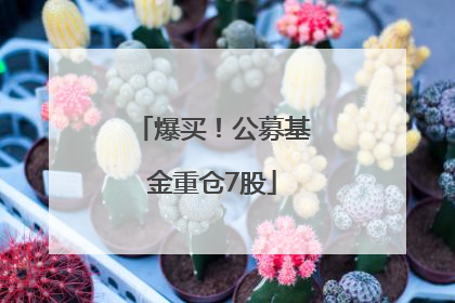 爆买！公募基金重仓7股