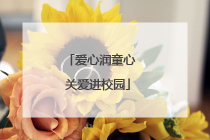 爱心润童心 关爱进校园
