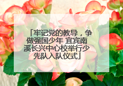 牢记党的教导，争做强国少年 宜宾南溪长兴中心校举行少先队入队仪式