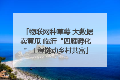 物联网种草莓 大数据卖黄瓜 临沂“四雁孵化”工程链动乡村共富