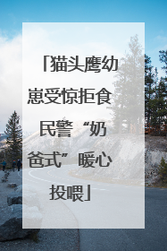 猫头鹰幼崽受惊拒食 民警“奶爸式”暖心投喂