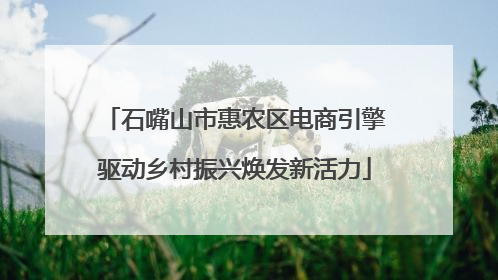 石嘴山市惠农区电商引擎驱动乡村振兴焕发新活力