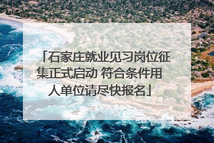 石家庄就业见习岗位征集正式启动 符合条件用人单位请尽快报名