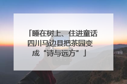 睡在树上、住进童话 四川马边县把茶园变成“诗与远方”