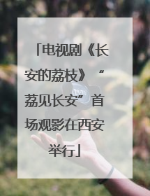 电视剧《长安的荔枝》“荔见长安”首场观影在西安举行