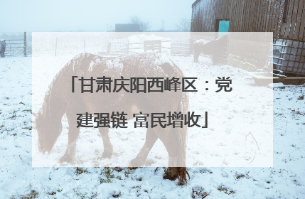甘肃庆阳西峰区：党建强链 富民增收