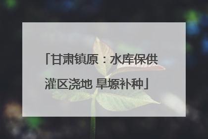 甘肃镇原：水库保供 灌区浇地 旱塬补种