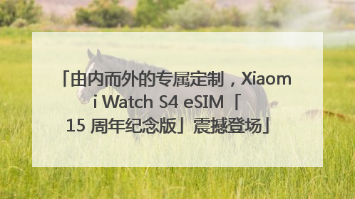由内而外的专属定制，Xiaomi Watch S4 eSIM「15 周年纪念版」震撼登场