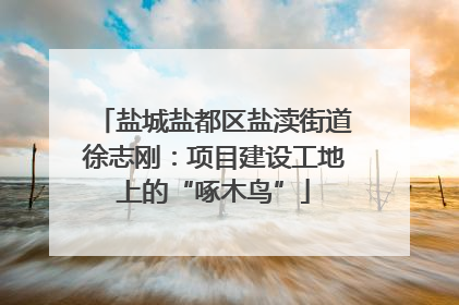 盐城盐都区盐渎街道徐志刚：项目建设工地上的“啄木鸟”