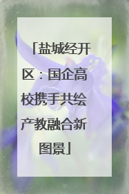 盐城经开区：国企高校携手共绘产教融合新图景
