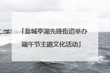 盐城亭湖先锋街道举办端午节主题文化活动