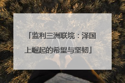 监利三洲联垸：泽国上崛起的希望与坚韧
