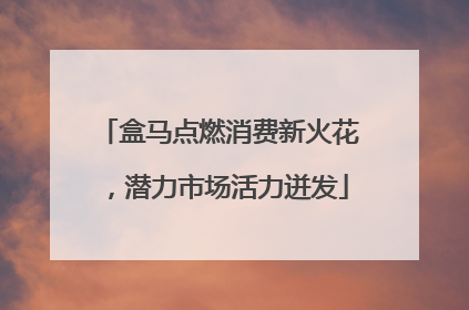 盒马点燃消费新火花，潜力市场活力迸发