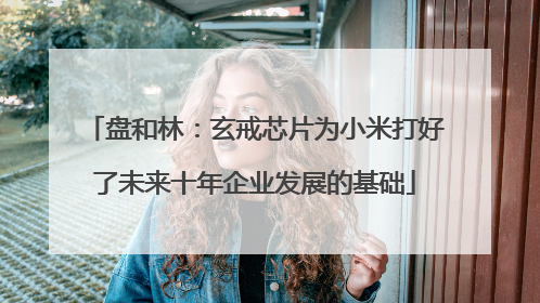 盘和林：玄戒芯片为小米打好了未来十年企业发展的基础