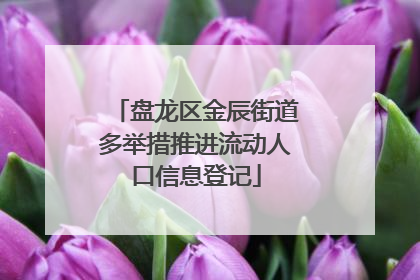 盘龙区金辰街道多举措推进流动人口信息登记