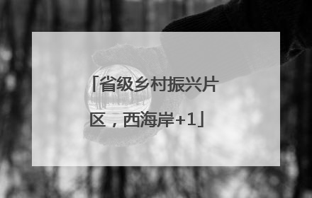省级乡村振兴片区，西海岸+1
