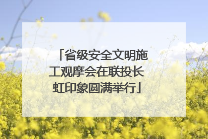 省级安全文明施工观摩会在联投长虹印象圆满举行