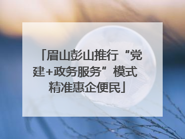 眉山彭山推行“党建+政务服务”模式 精准惠企便民