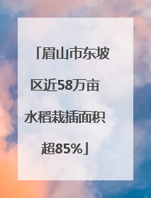 眉山市东坡区近58万亩水稻栽插面积超85%