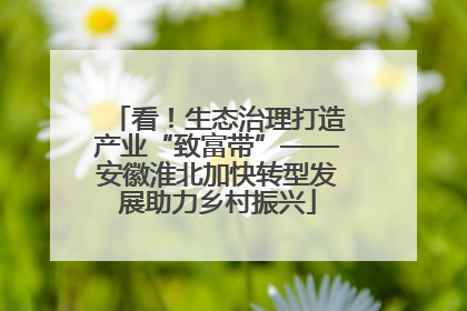 看！生态治理打造产业“致富带”——安徽淮北加快转型发展助力乡村振兴