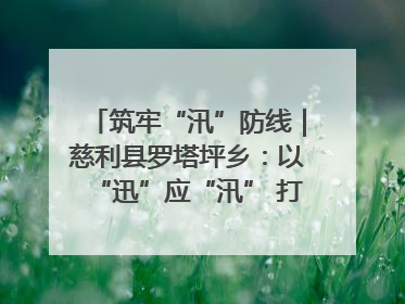 筑牢“汛”防线｜慈利县罗塔坪乡：以“迅”应“汛” 打赢暴雨防御战