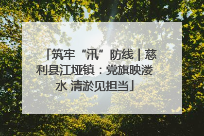 筑牢“汛”防线｜慈利县江垭镇：党旗映溇水 清淤见担当