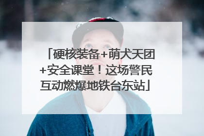 硬核装备+萌犬天团+安全课堂！这场警民互动燃爆地铁台东站