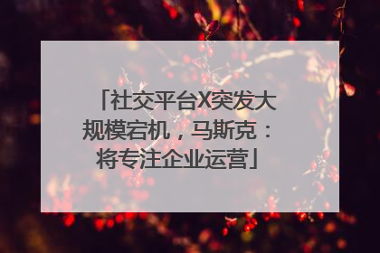 社交平台X突发大规模宕机，马斯克：将专注企业运营