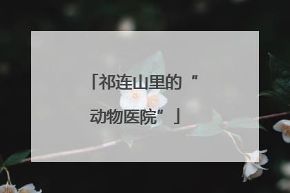祁连山里的“动物医院”