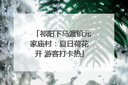 祁阳下马渡镇元家庙村：夏日荷花开 游客打卡热