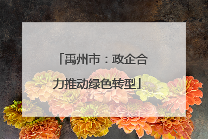 禹州市：政企合力推动绿色转型