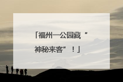 福州一公园藏“神秘来客”！