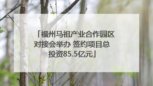 福州马祖产业合作园区对接会举办 签约项目总投资85.5亿元