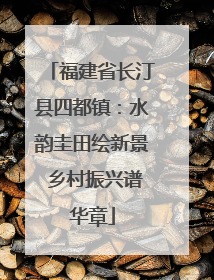 福建省长汀县四都镇：水韵圭田绘新景 乡村振兴谱华章