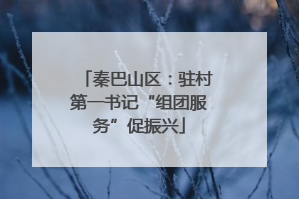 秦巴山区：驻村第一书记“组团服务”促振兴