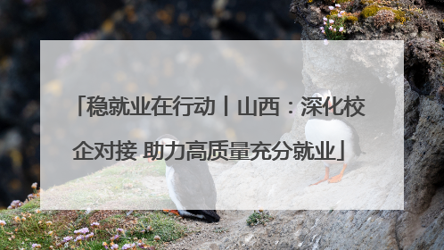 稳就业在行动丨山西：深化校企对接 助力高质量充分就业
