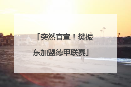 突然官宣！樊振东加盟德甲联赛