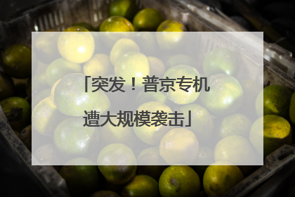 突发！普京专机遭大规模袭击