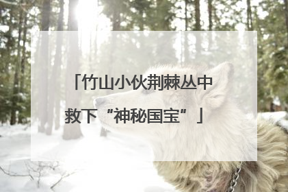 竹山小伙荆棘丛中救下“神秘国宝”