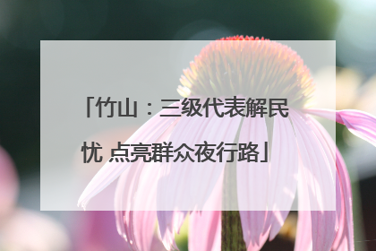 竹山：三级代表解民忧 点亮群众夜行路