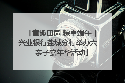童趣田园 粽享端午｜兴业银行盐城分行举办六一亲子嘉年华活动