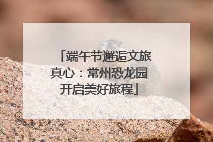 端午节邂逅文旅真心：常州恐龙园开启美好旅程