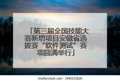 第三届全国技能大赛新增项目安徽省选拔赛“软件测试”赛项圆满举行