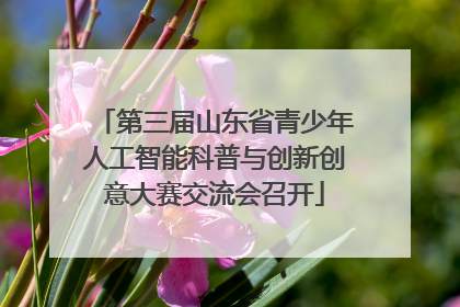 第三届山东省青少年人工智能科普与创新创意大赛交流会召开