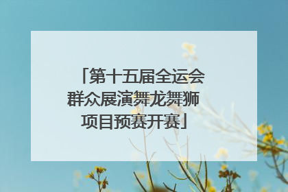 第十五届全运会群众展演舞龙舞狮项目预赛开赛