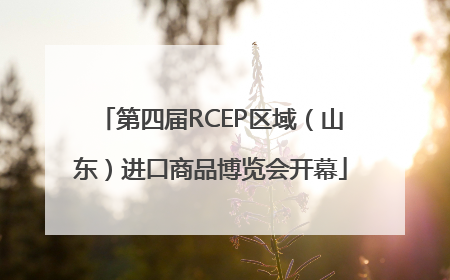第四届RCEP区域（山东）进口商品博览会开幕
